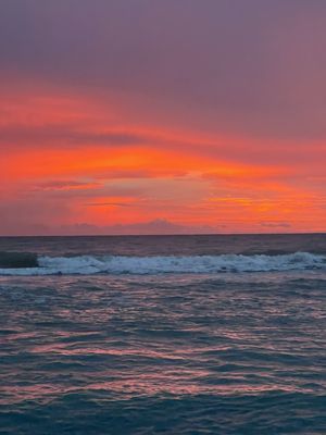 'Tween Waters Inn & Marina by null