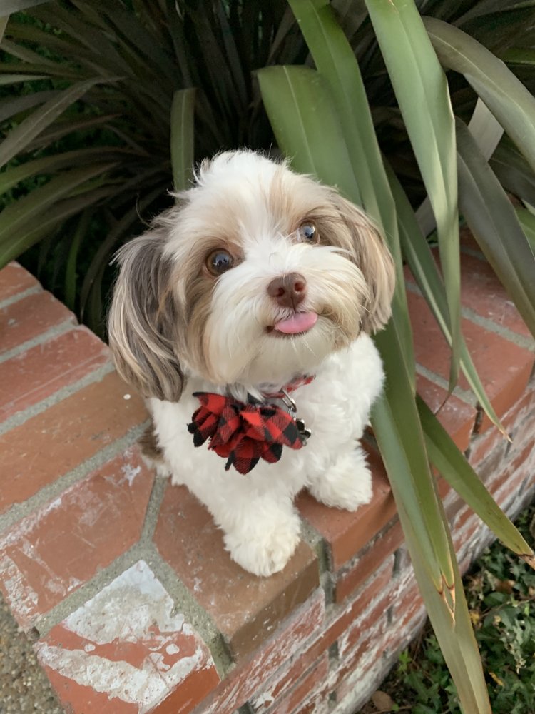 SAN DIEGO DRYER VENT CLEANING 19 Photos & 248 Reviews 2260 El Cajon