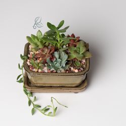 BUDS Plant Boutique
