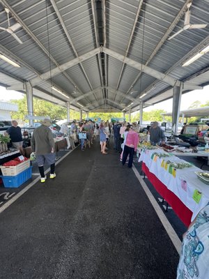 Alachua County Farmers' Market by null