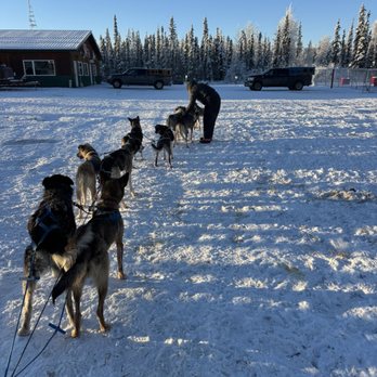 Rod's Alaskan Guide Service - Joe's mush team - Fishing Near Me - North Pole, Alaska Rod's Alaskan Guide Service - Joe's mush team - Fishing Near Me - North Pole, Alaska