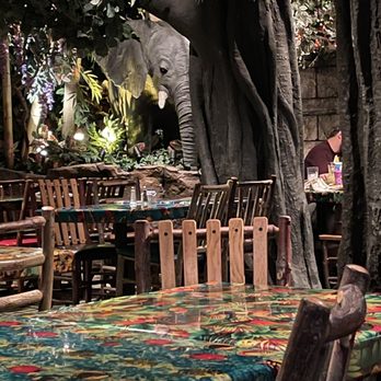 Rainforest Cafe - Dining area - American Near Me - San Antonio, Texas Rainforest Cafe - Dining area - American Near Me - San Antonio, Texas
