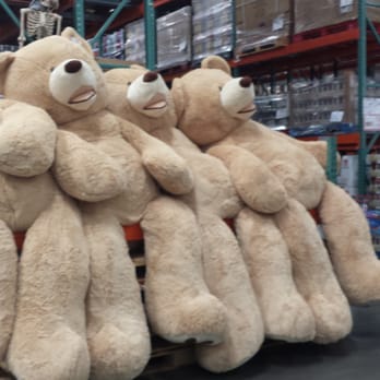 Costco - Huge bears... - Wholesale Stores Near Me - La Mesa, California Costco - Huge bears... - Wholesale Stores Near Me - La Mesa, California