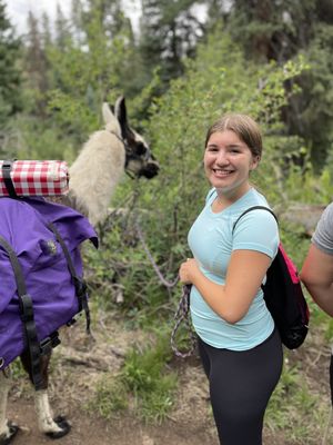 Paragon Guides by null