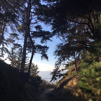 New Brighton State Beach - Trail down to the beach - Parks Near Me - Capitola, California