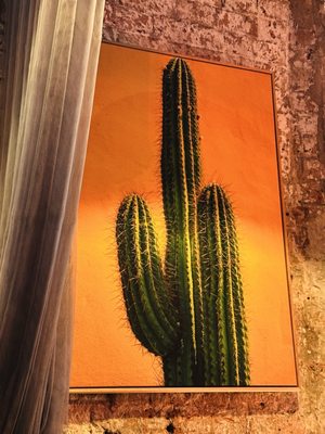 The Lucky Hotel by null