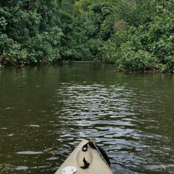 Wailua River - Rafting/Kayaking Near Me - Wailua, Hawaii