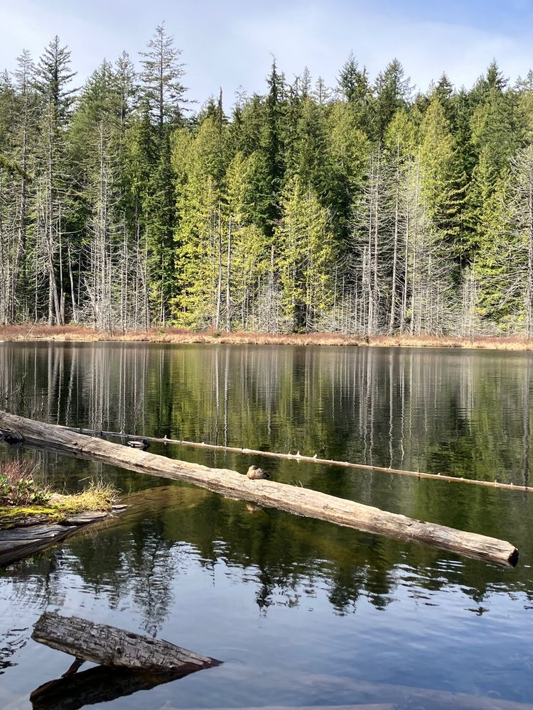 Whyte Lake WHYTE LAKE - Updated June 2026 - 110 Photos - 750 17th Street, West ...