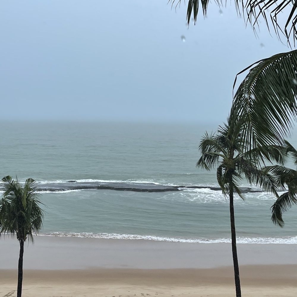 Avenida Boa Viagem - Reefs visible at low tide - Bakeries Near Me - Recife, Prince Edward Island