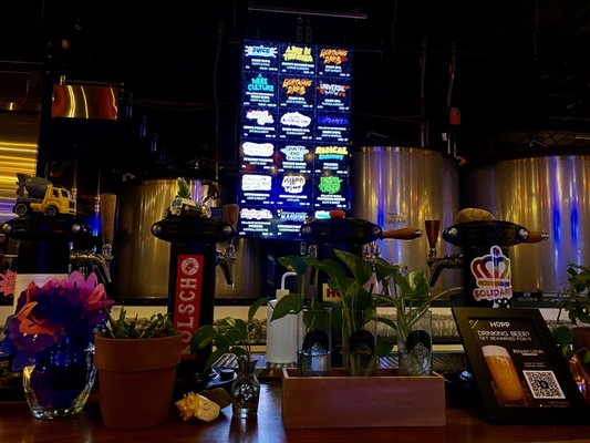 Resident Culture Brewing Company by null