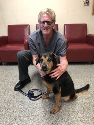 east valley pet clinic