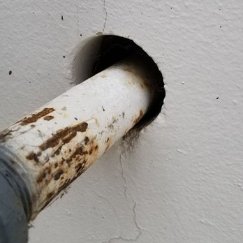 Sharp Exterminator - Pest Control Near Me - Rialto, California Sharp Exterminator - Pest Control Near Me - Rialto, California