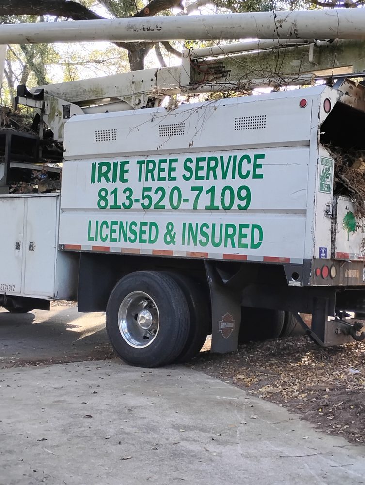 Irie Tree Service Ss - tree service in Tampa, FL