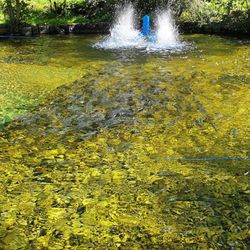 Restaurant Blausee