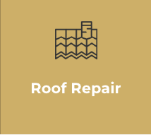 Slide of Canopy Roofing of the Upstate