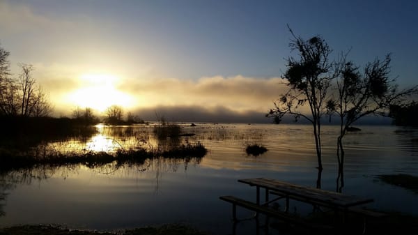 Dosewallips State Park by null