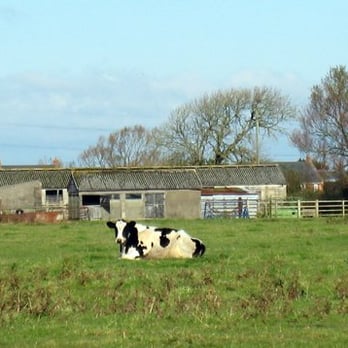 Locking Head Farm Bed and Breakfast - From website - Bed & Breakfast Near Me - Weston-Super-Mare, NSM