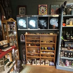 Finders and Seekers Emporium - X- Ray skull