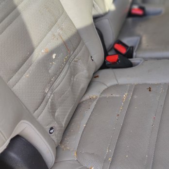 Beam Bright Mobile Auto Detailing - Auto Detailing Near Me Beam Bright Mobile Auto Detailing - Auto Detailing Near Me