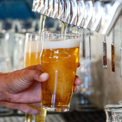 Koholā Brewery by null