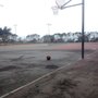 Photo of West Sunset Tennis Courts