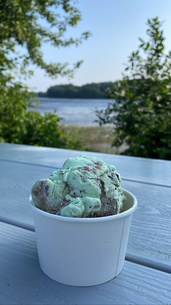 The Ice Cream Shoppe Logo