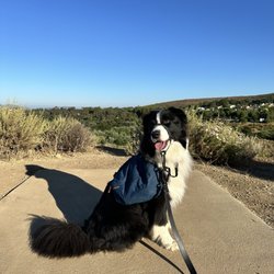 Sapwi Trails Community Park - Disk golf - Hole 17
