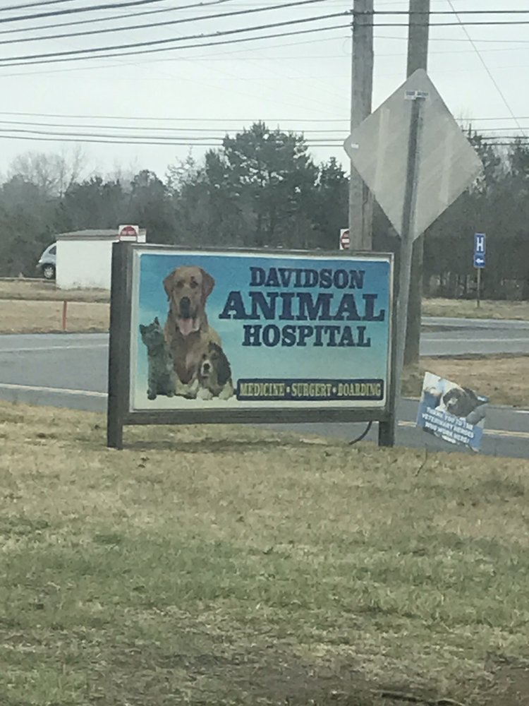 DAVIDSON ANIMAL HOSPITAL - 13 Reviews - Veterinarians - 114 Anna Lewis DAVIDSON ANIMAL HOSPITAL - 13 Reviews - Veterinarians - 114 Anna Lewis