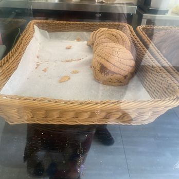 Masa Madre Artisanal Bakery - Vanilla/plain concha - Bakeries Near Me - Woodside, New York
