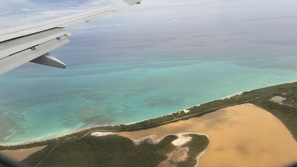 Cheeseburger in Paradise by null