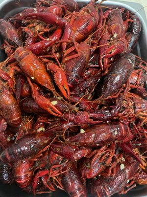TJ Cajun Seafood, Wings and Pho by null