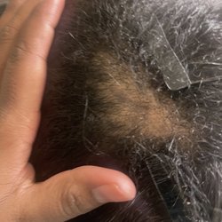 Root and Mane