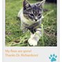 The Travelling Vet