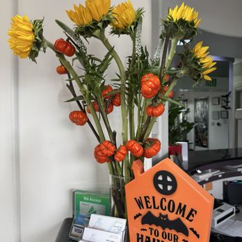 Dental Plus of Paramount - So cute! - General Dentistry Near Me - Paramount, California Dental Plus of Paramount - So cute! - General Dentistry Near Me - Paramount, California