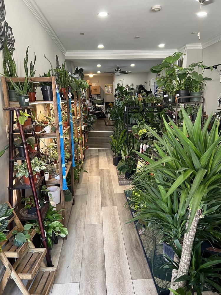 KELLEY GARDENS 148 Photos 501 S Ann St, Baltimore, Maryland