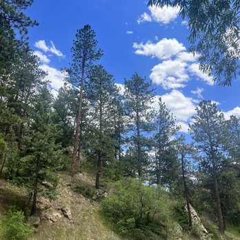 MAC NATION CAFE - Updated November 2024 - 373 Photos & 347 Reviews