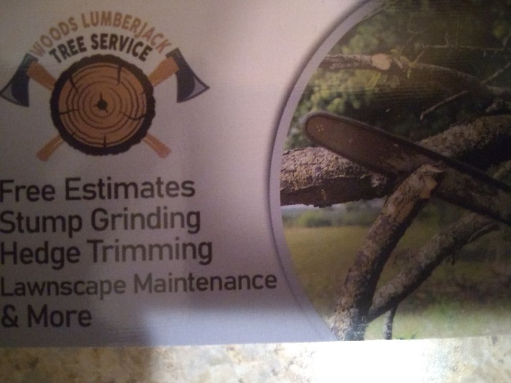 WOODS LUMBERJACK TREE SERVICE Updated August 2024 Fort Lauderdale