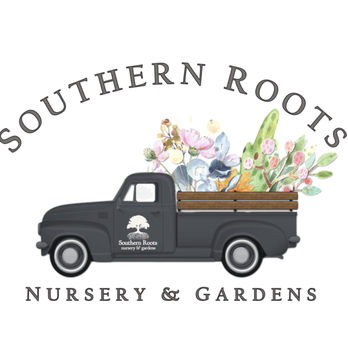 Southern Roots Nursery - Garden & Landscaping services - Nurseries & Gardening Near Me - Newnan, Georgia Southern Roots Nursery - Garden & Landscaping services - Nurseries & Gardening Near Me - Newnan, Georgia