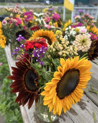 Bremer Produce U-Pick Flower Farm by null