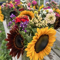 Bremer Produce