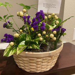 Flower and plant arrangement from N.O. Flower Delivery