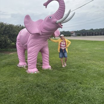 21 Brix Winery - Me by the pink elephant - Wineries Near Me - Portland, New York
