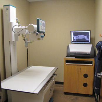 Athens Animal Clinic - Veterinarians Near Me - Athens, Texas Athens Animal Clinic - Veterinarians Near Me - Athens, Texas