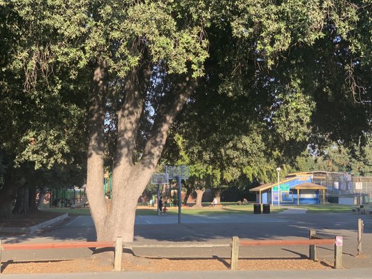 Steve Carli Park by null