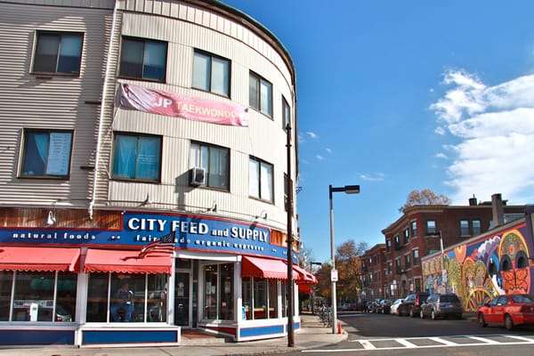 City Feed and Supply by null