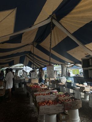 Coconut Grove Farmer's Market by null