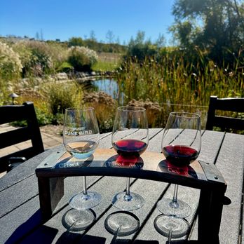 Dune Bird Winery - Wineries Near Me - Northport, Michigan