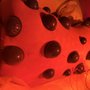 Photo of Yin Acupuncture & Integrative Healing Center