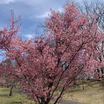 Branch Brook Park - Parks Near Me - Newark, New Jersey