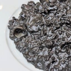 Il Pastaio - Risotto Nero: Carnaroli Rice with Calamari, Shrimp, Scallops and Squid Ink Sauce. Comes totally black.